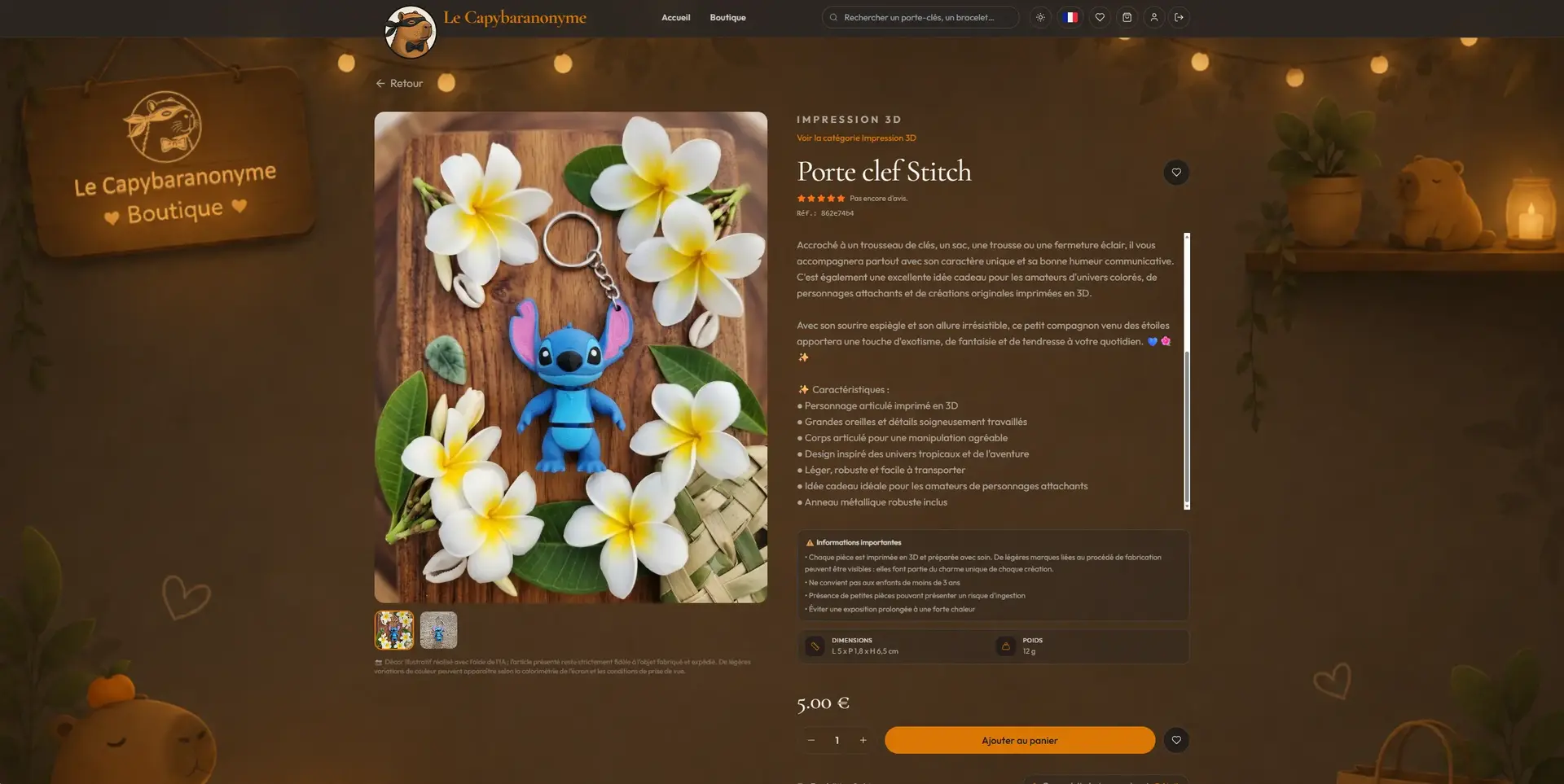 Le Capybaranonyme — vue de l’interface 3
